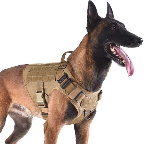 3 ICEFANG Tactical Dog Harness L