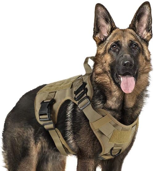 5 rabbitgoo Tactical Dog Harness Vest
