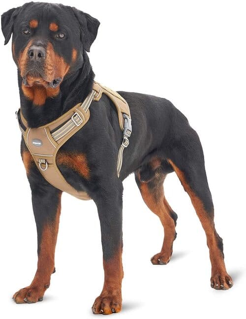 6 Auroth Tactical Dog Training Harness L